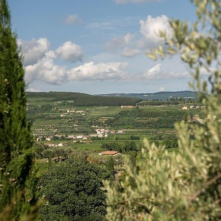 Monolocale Moderno Valpolicella Verona - Vayu San Pietro in Cariano Kültér fotó